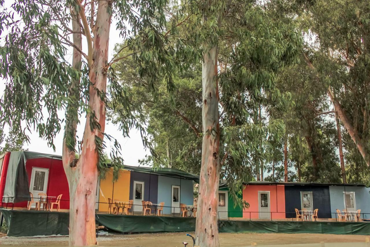Patara Woody Hostel&Camping Exterior foto